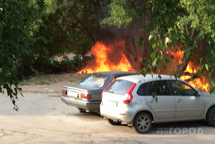 В Чебоксарах рядом с гаражным комплексом вспыхнуло пламя