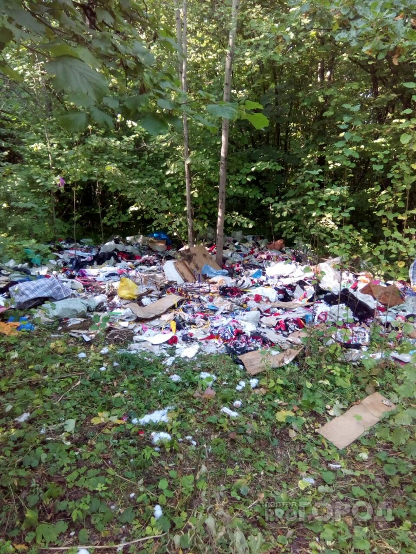 В Чебоксарском районе неизвестные выбросили текстильно-строительный мусор в лесополосу