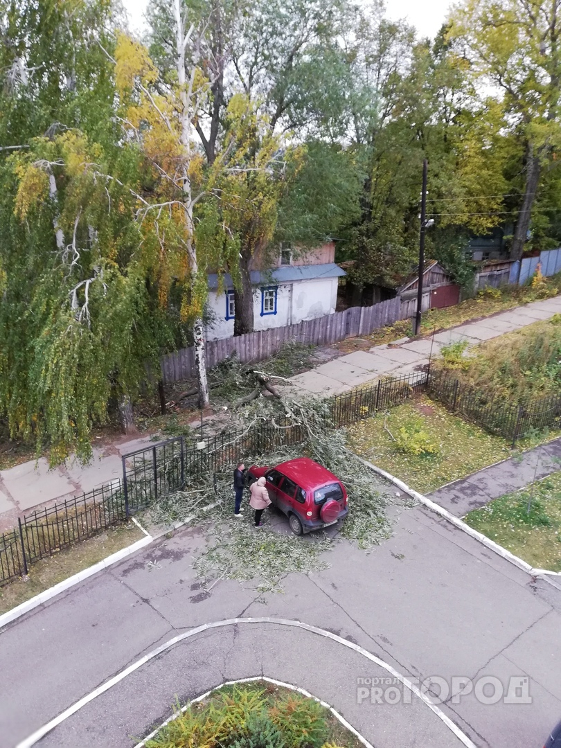 В Чебоксарах сильный ветер обрушил дерево на автомобиль