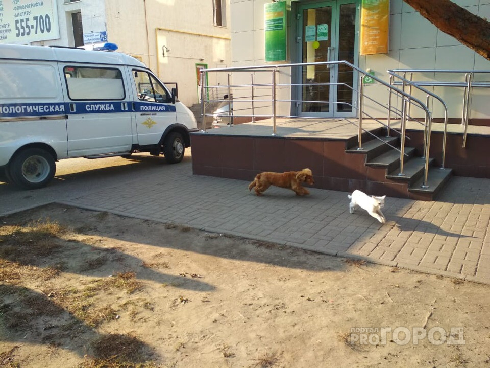 В Чебоксарах из-за подозрительного предмета эвакуировали посетителей банка