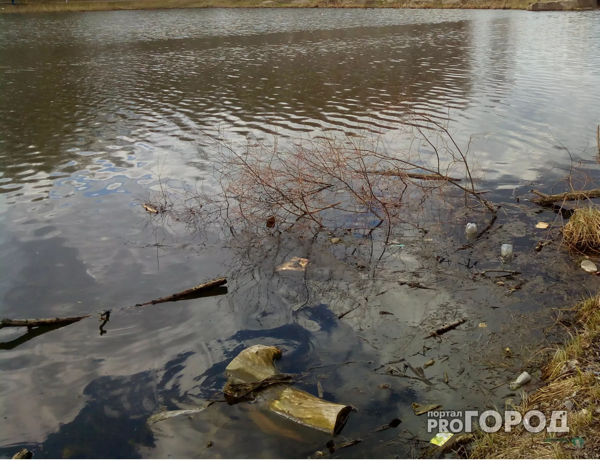 Фото к статье: В Чебоксарском районе в пруду нашли тело мужчины