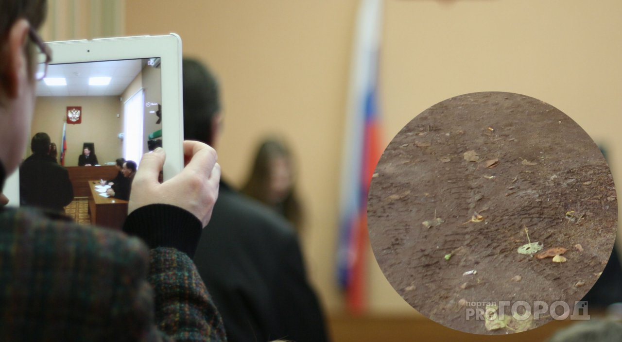 В Новочебоксарске директора полигона обвиняют в гибели ста деревьев
