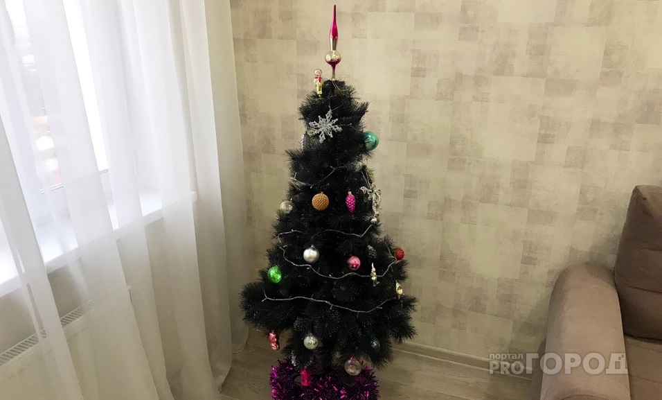 Каждый седьмой житель Чувашии отказался ставить елку на Новый год