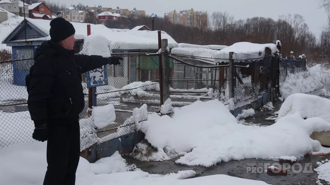 Фото к статье: В Чебоксарах дачный участок вместе с рекой заливает фекалиями