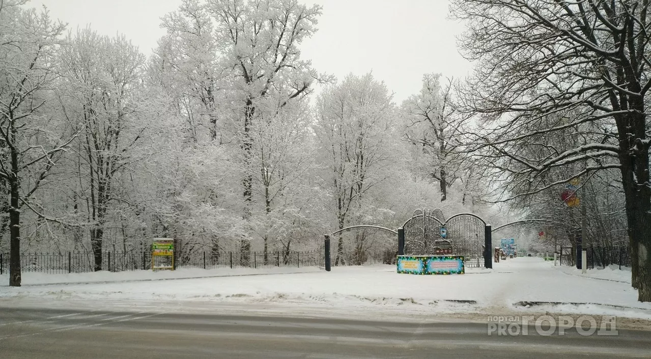 Фото к статье: В роще Новочебоксарска умер лыжник