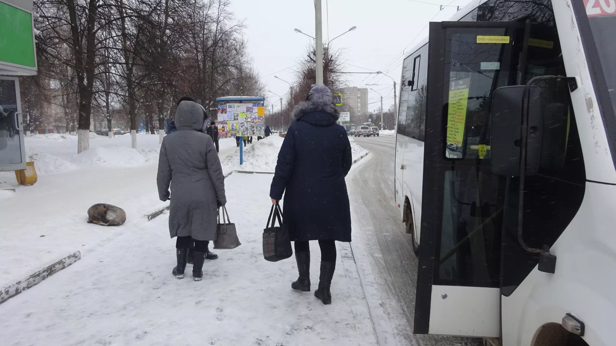 Фото к статье: Минтранс запустил голосование по поводу изменения маршрута № 270