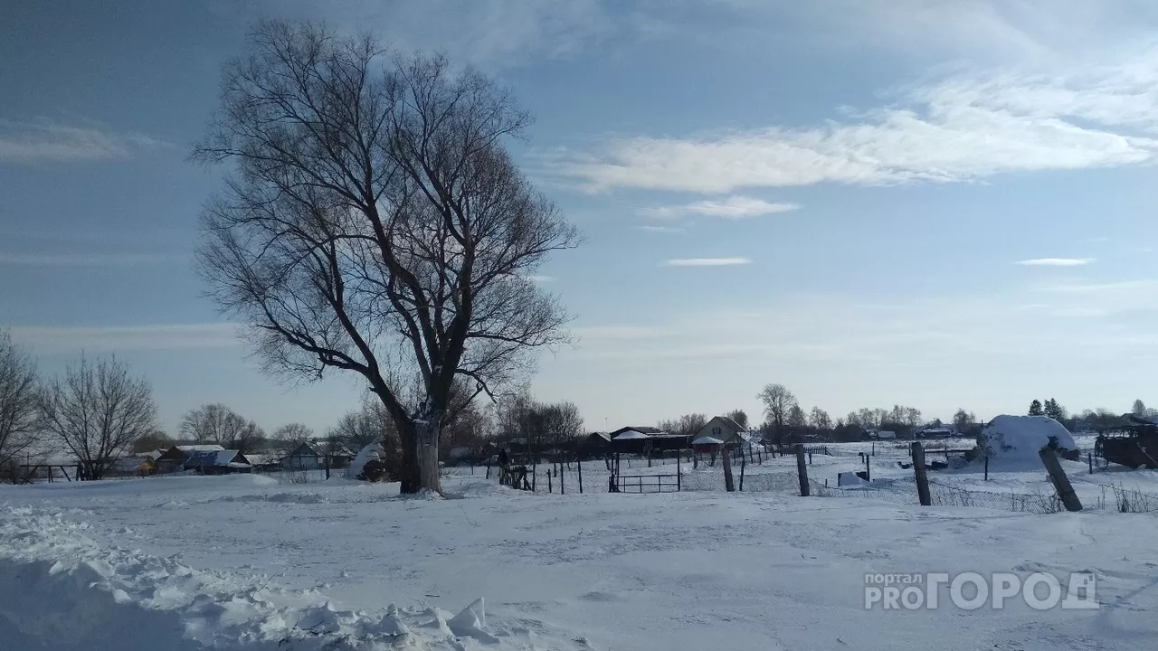 Фото к статье: В Чувашии последний день января порадует потеплением