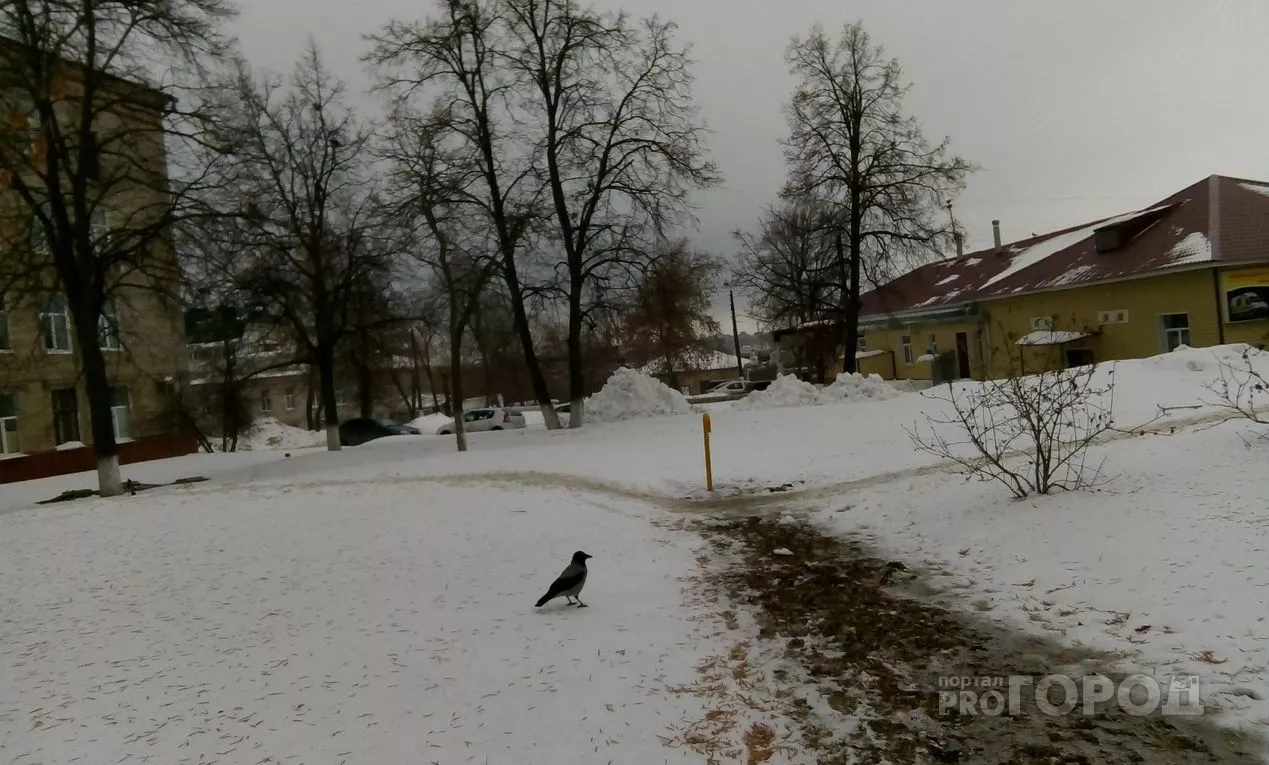 Фото к статье: В большинстве районов Чувашии в четверг ожидается мокрый снег