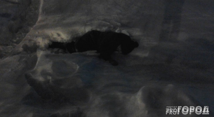 В Вурнарском районе возле своего дома насмерть замерзла женщина