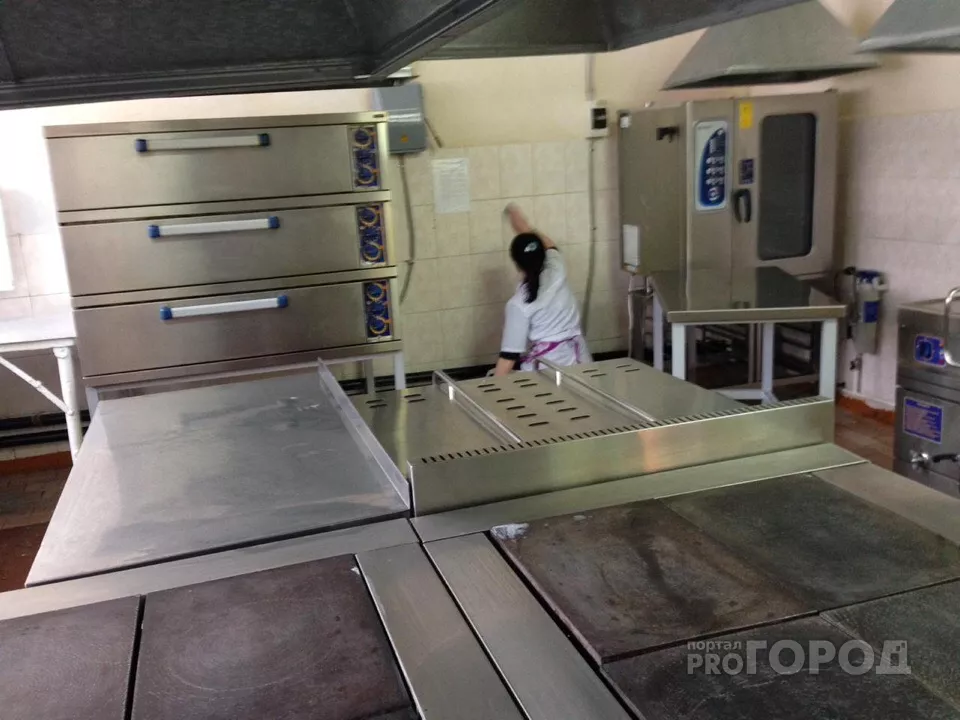 Фото к статье: В школе Новочебоксарска уничтожили тараканов после фото киселя с насекомым