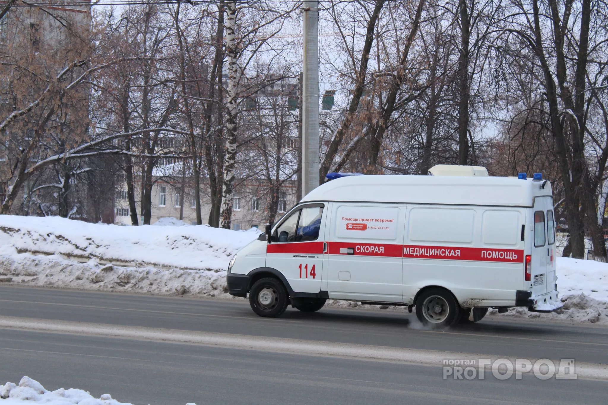 Фото к статье: В Чувашии от свиного гриппа скончалась женщина