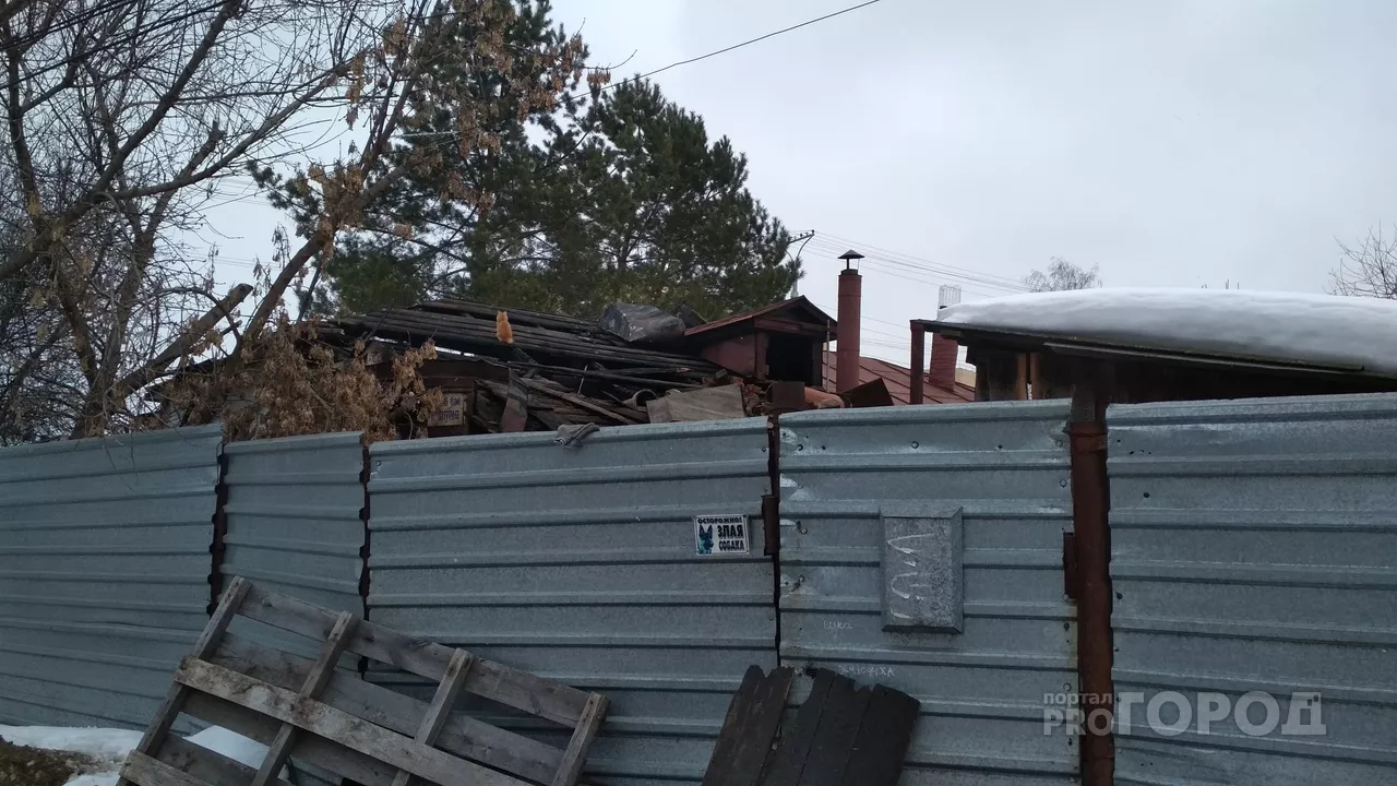 Фото к статье: В Чебоксарах в пожаре погибла женщина и ее питомцы