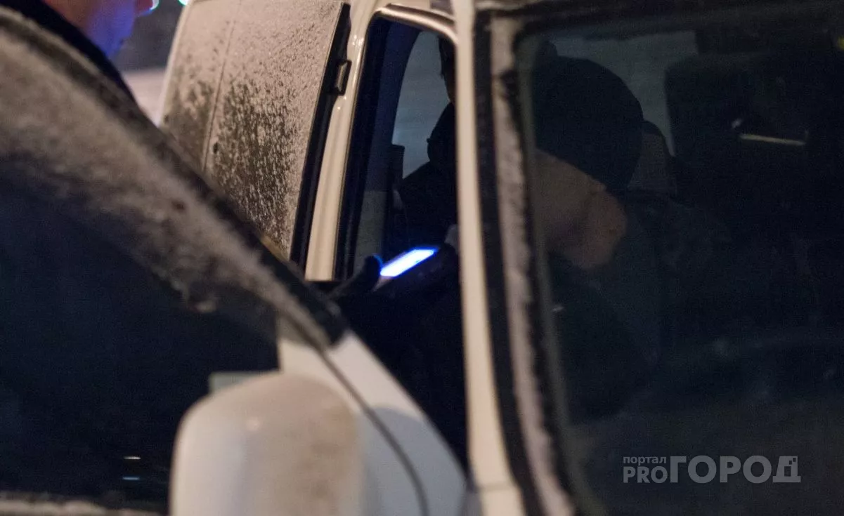 Фото к статье: Чебоксарца поймали на белорусской границе с двумя пистолетами