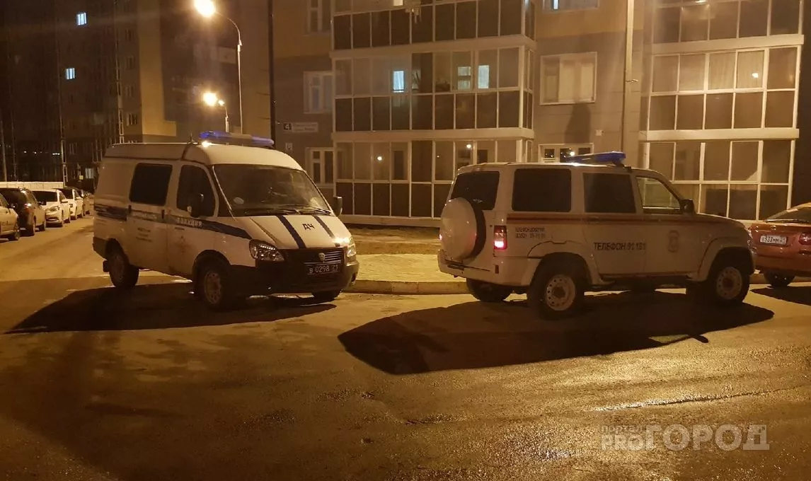 Фото к статье: Следственный комитет завел уголовное дело и уточнил, что мать погибших детей была в сауне