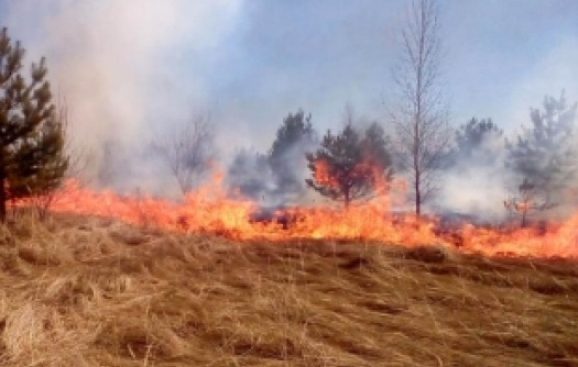 В Чувашии при сжигании сухой травы погибли два человека
