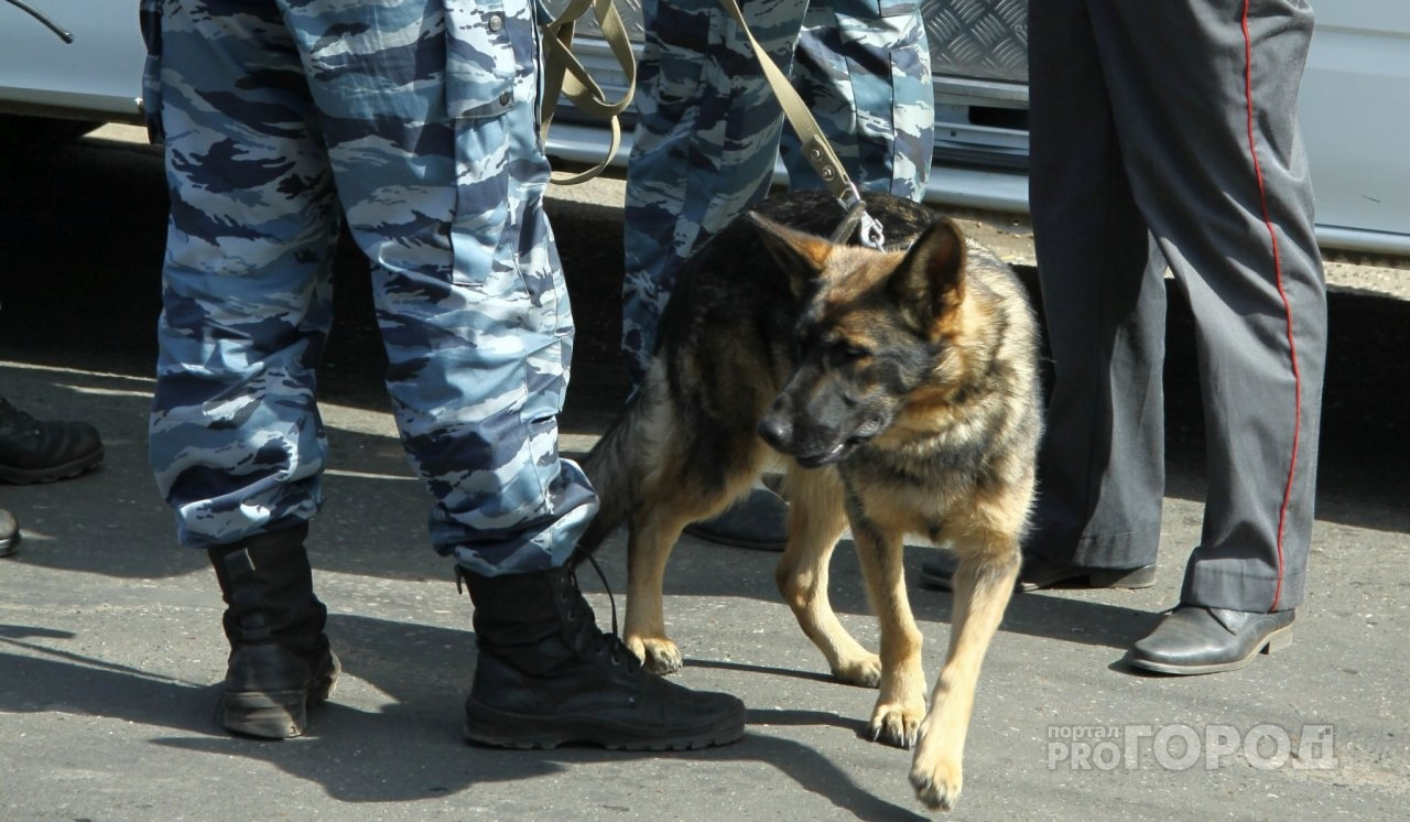 Полицейские привезли из Самары 31-летнюю преступницу