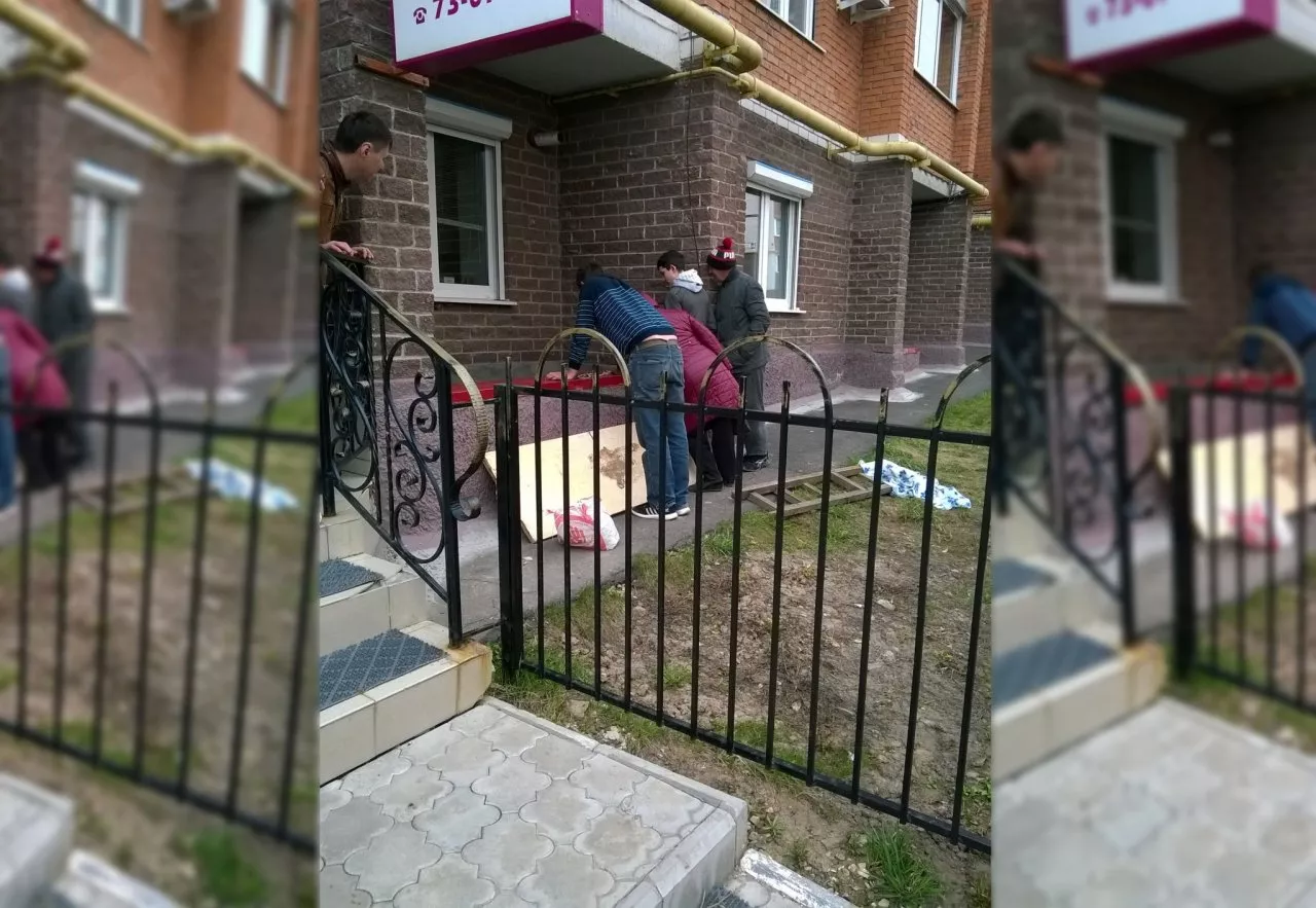 Фото к статье: В Новочебоксарске собака упала в приямок подвала, спасали ее всем двором