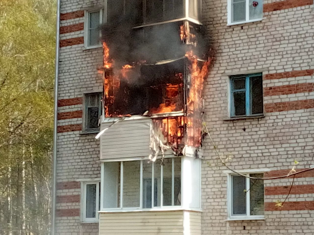 Фото к статье: В Новочебоксарске спасатели вытащили из огня собаку