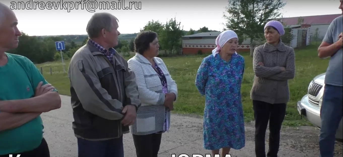 Фото к статье: Соседи "Юрмы" страдают от нападения мух на урожай