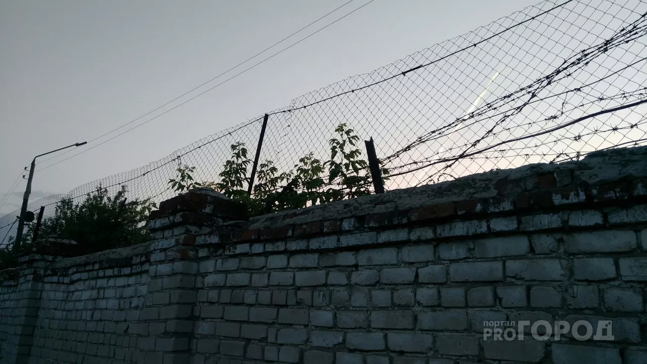 Фото к статье: Двое осужденных преодолели двойной забор колонии, по их словам, ради выпивки