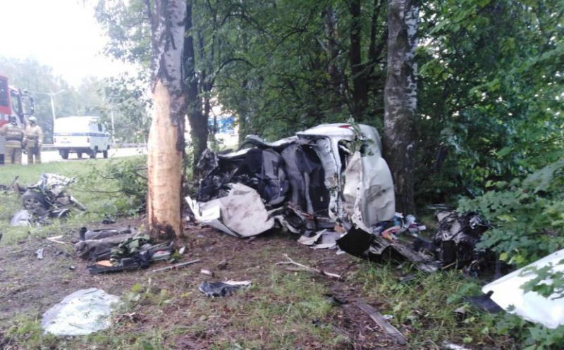 В Чебоксарском районе Renault Logan влетел в дерево, два человека погибли