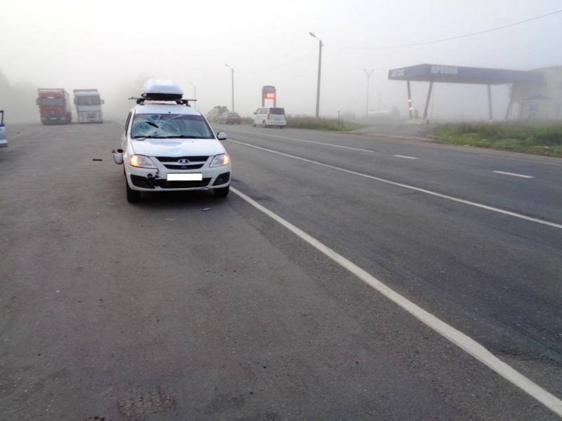 В Чувашии водитель "Лады" не увидел пешеходов из-за тумана и сбил их
