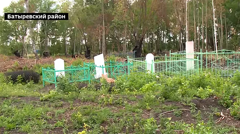 Фото к статье: В Батыревском районе уборка на кладбище закончилась пожаром