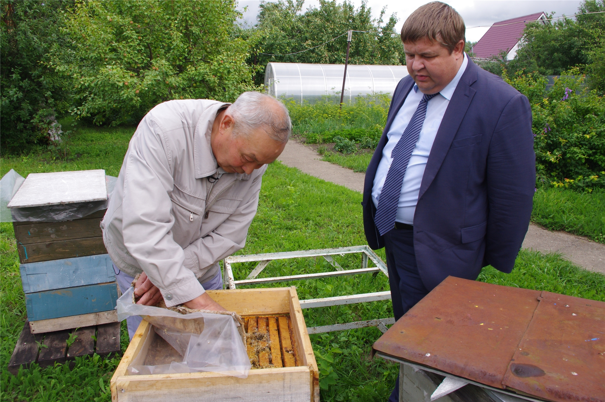 Чувашские пчеловоды пожаловались на фермеров Минсельхозу