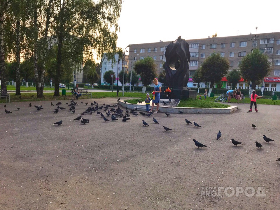 В воскресенье в Чувашии может пойти дождь