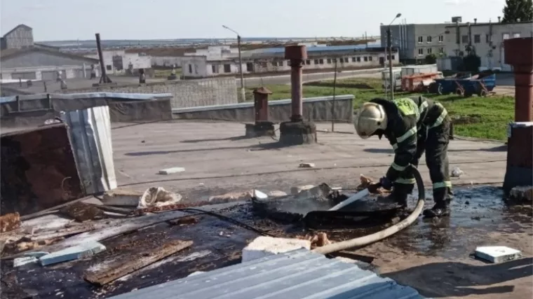 Фото к статье: В Новом Атлашево на птицефабрике вспыхнуло здание