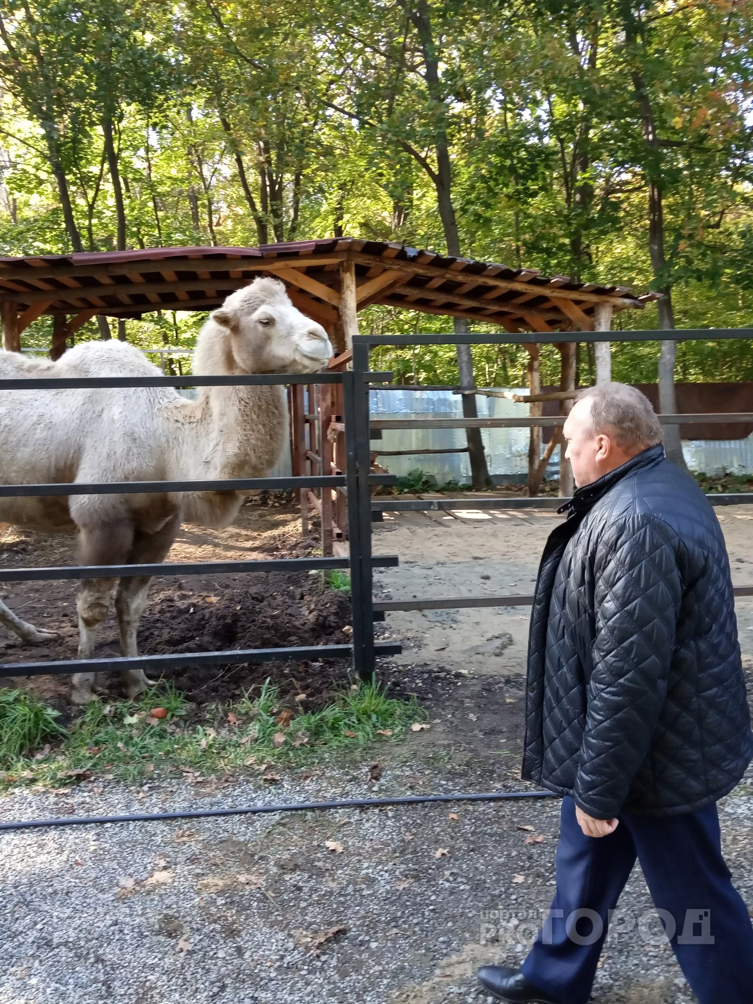 Фото к статье: Новочебоксарский зоопарк переполнился и перестал быть безопасным для персонала