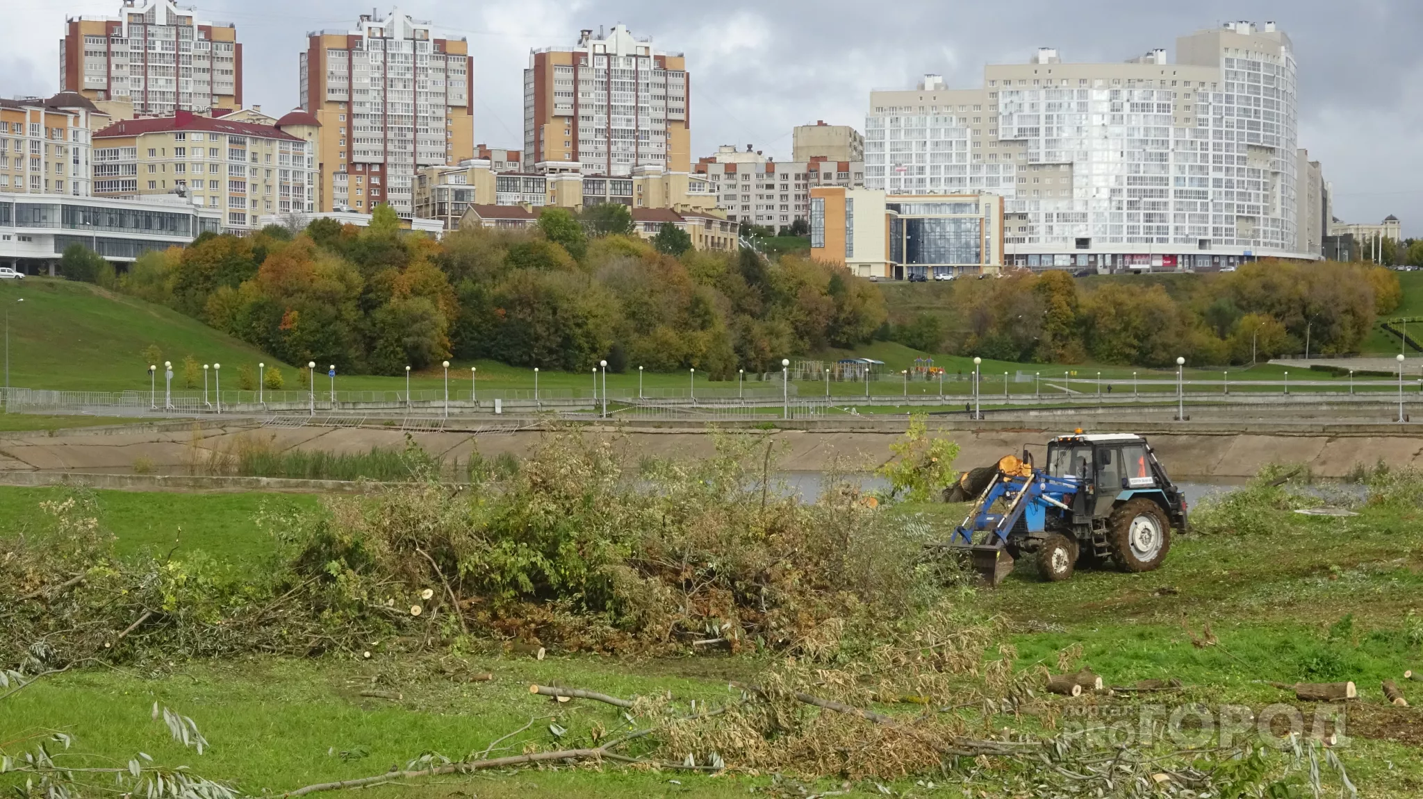 Фото к статье: На другом конце Залива начали рубить деревья и готовиться к строительству