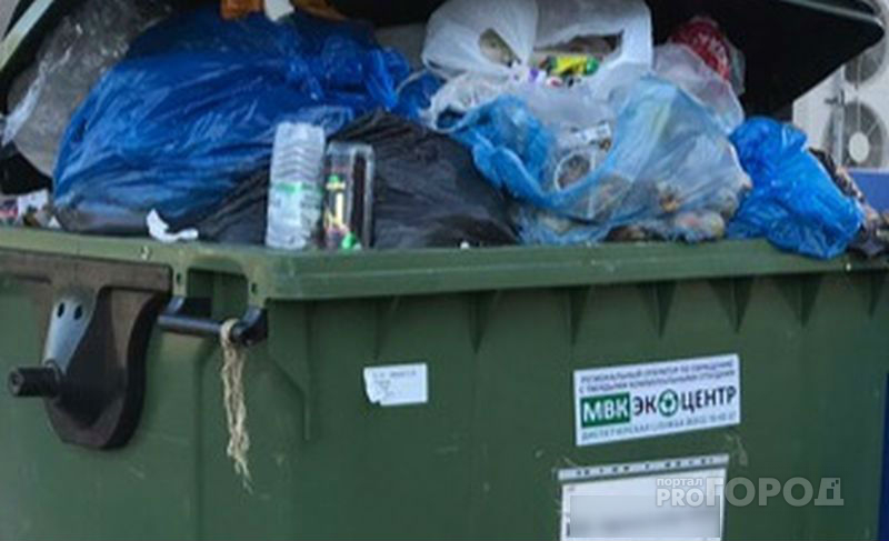 Прокуратура признала летний график вывоза мусора из деревень незаконным