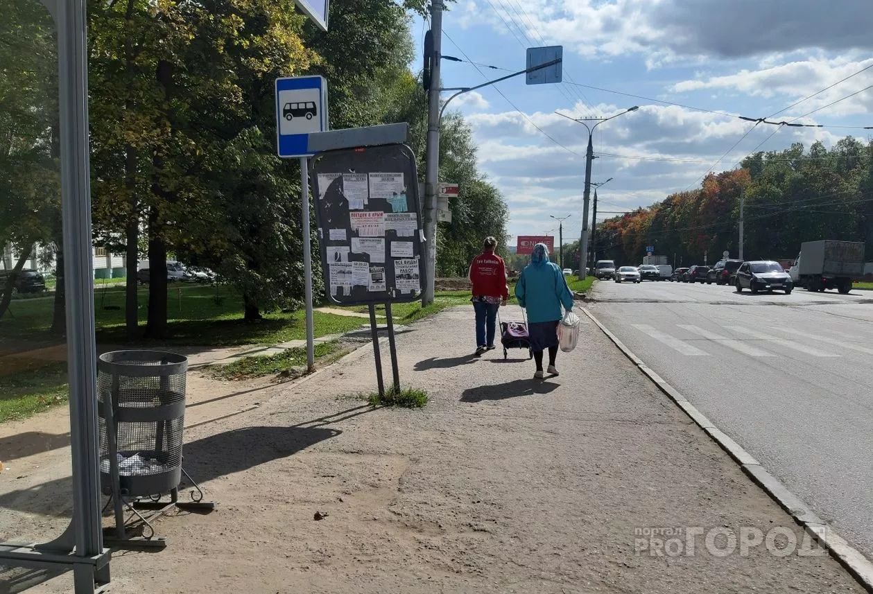 Фото к статье: Остановке «Питомник» придумали новое название