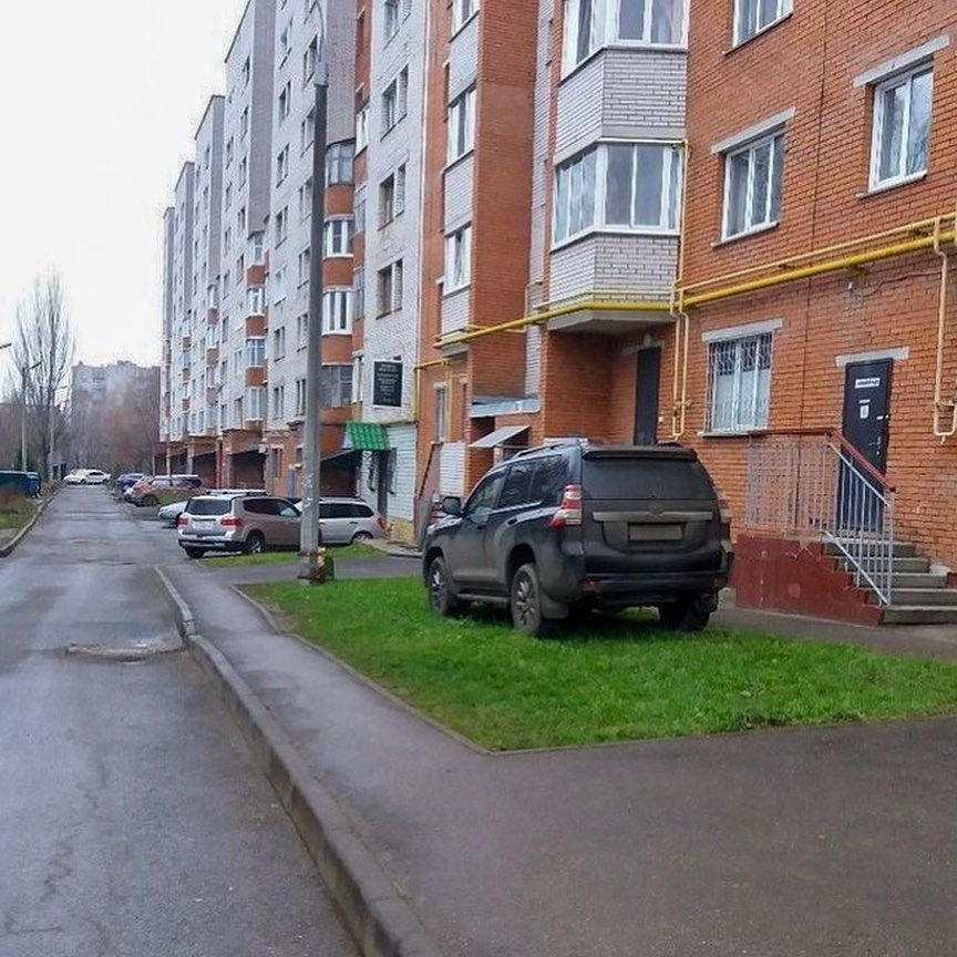 Ладыков недоволен паркующимися на газоне водителями