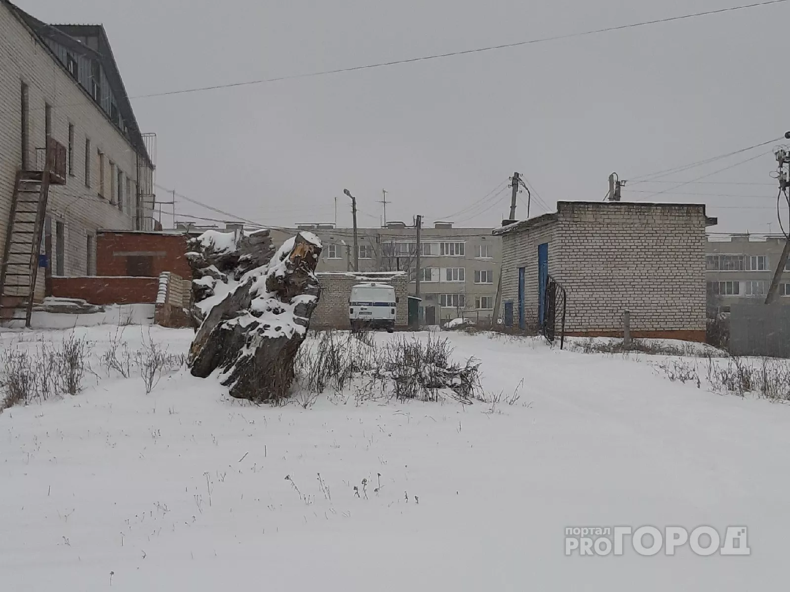 Фото к статье: В Цивильском районе нашли мертвую женщину