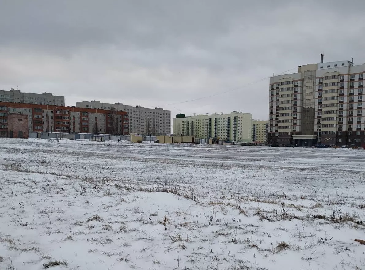 Фото к статье: Банкротство застройщика оставило жителей Богданки без красивой елки