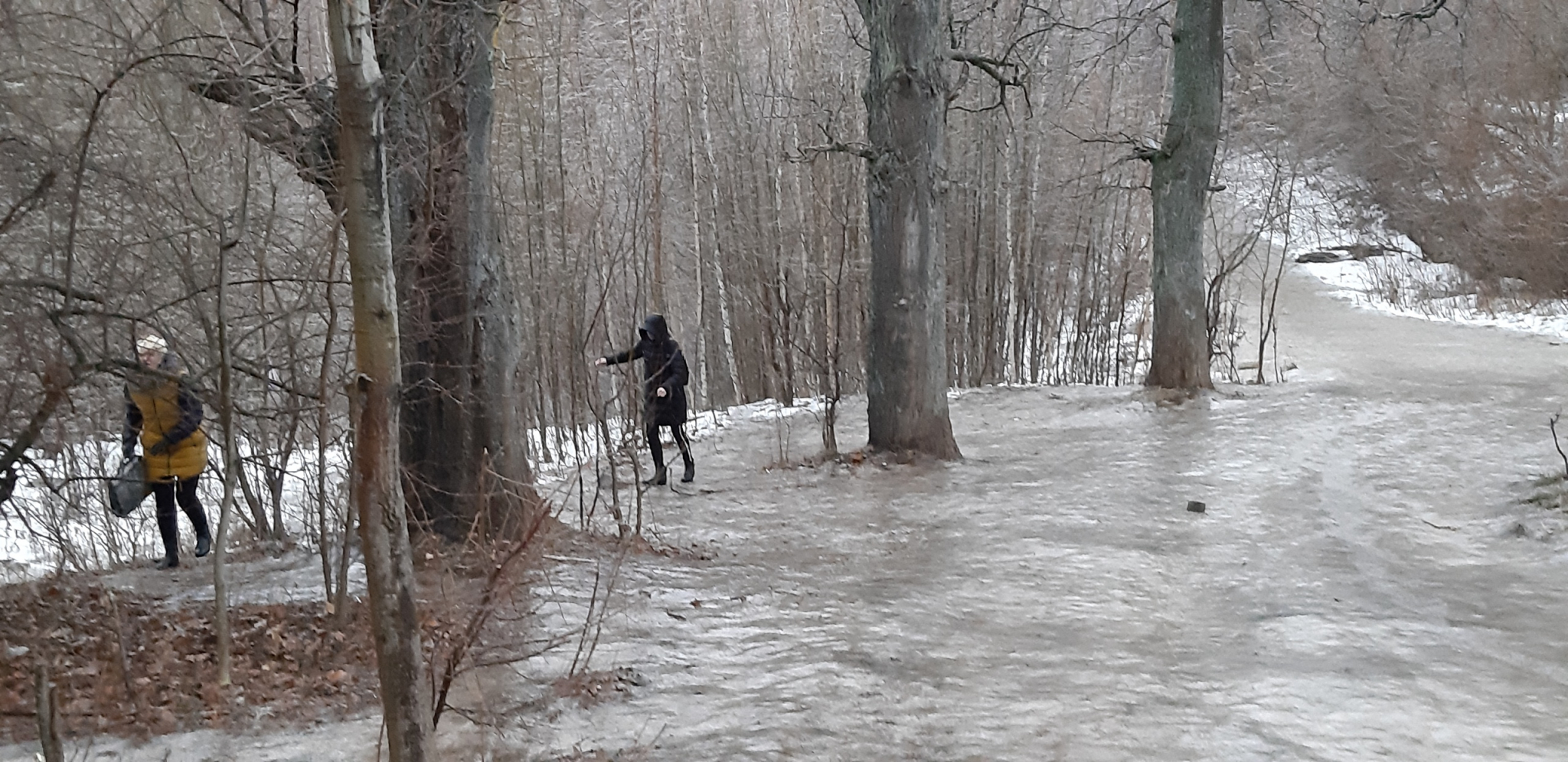 Жители Садового о ледяной дороге через овраг: "Школьники падают, кричат, обходят по лесу"