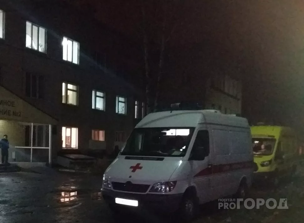 Фото к статье: В Канашском районе собака искусала девочку
