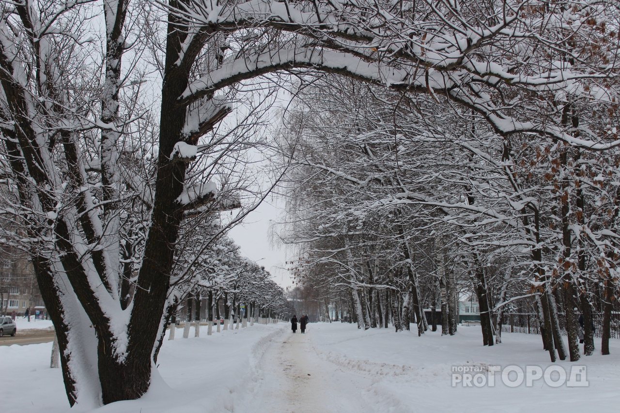 Большинство жителей Чувашии скучает по настоящей русской зиме
