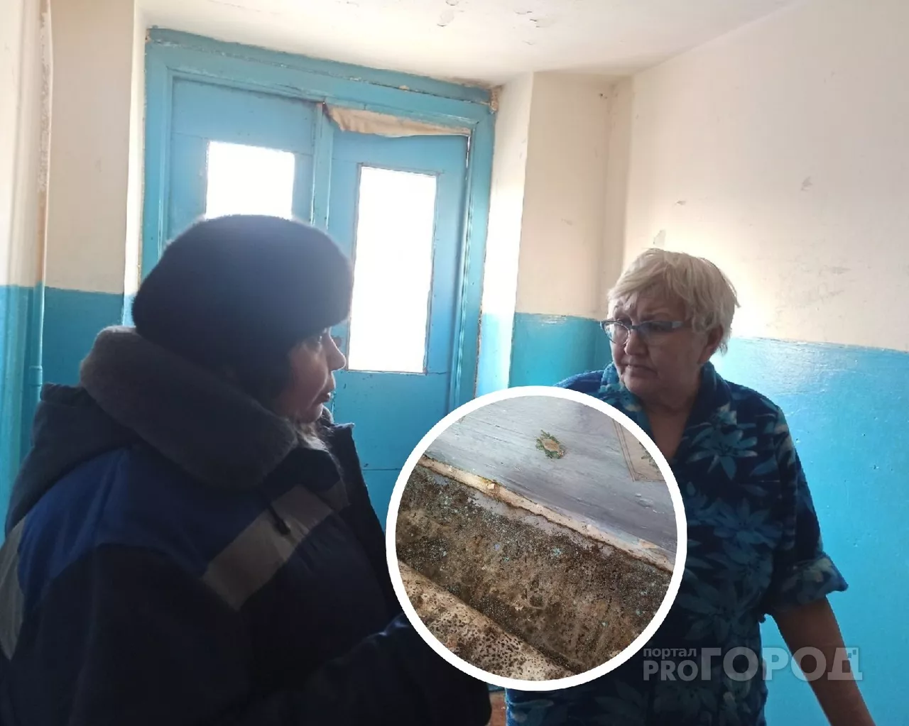 Фото к статье: Поганки выросли в квартире из-за ошибки жителей, которая сильно возмутила инженера УК