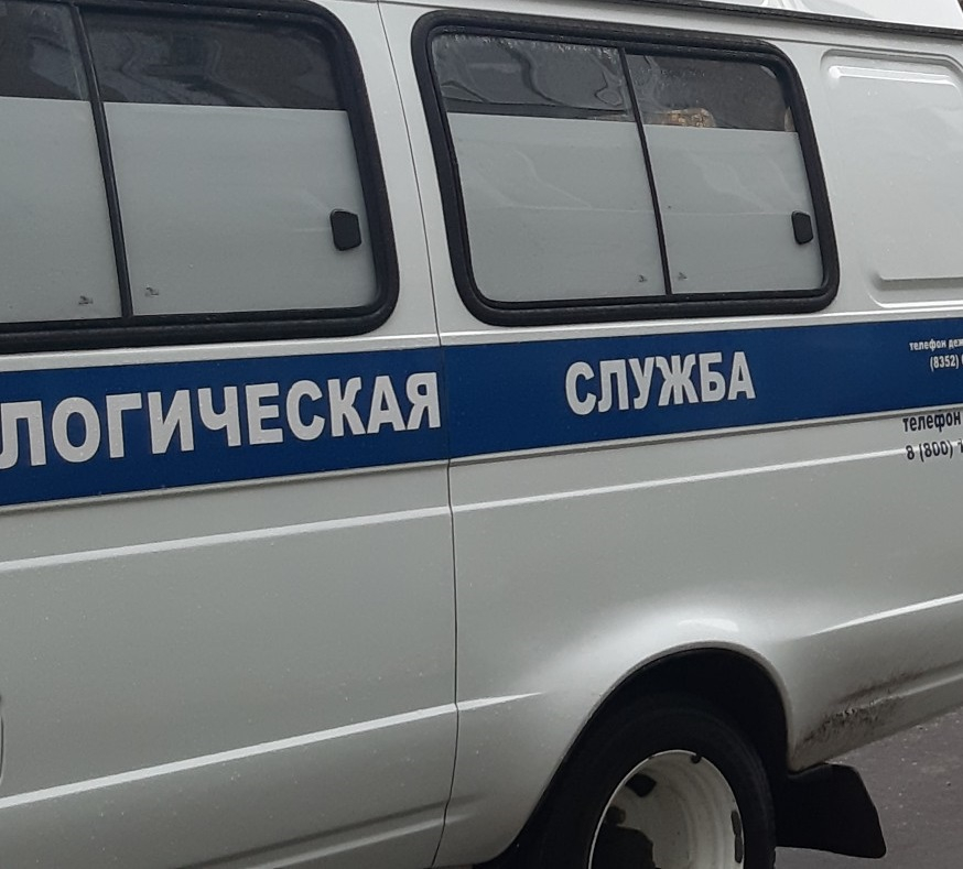 В Чебоксарах пропала 30-летняя женщина: "Такого никогда с ней не было"