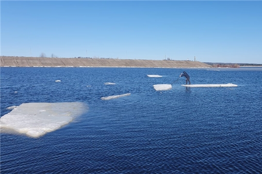 Плывущих на льдине парней доставили на берег, экстремалы сбежали