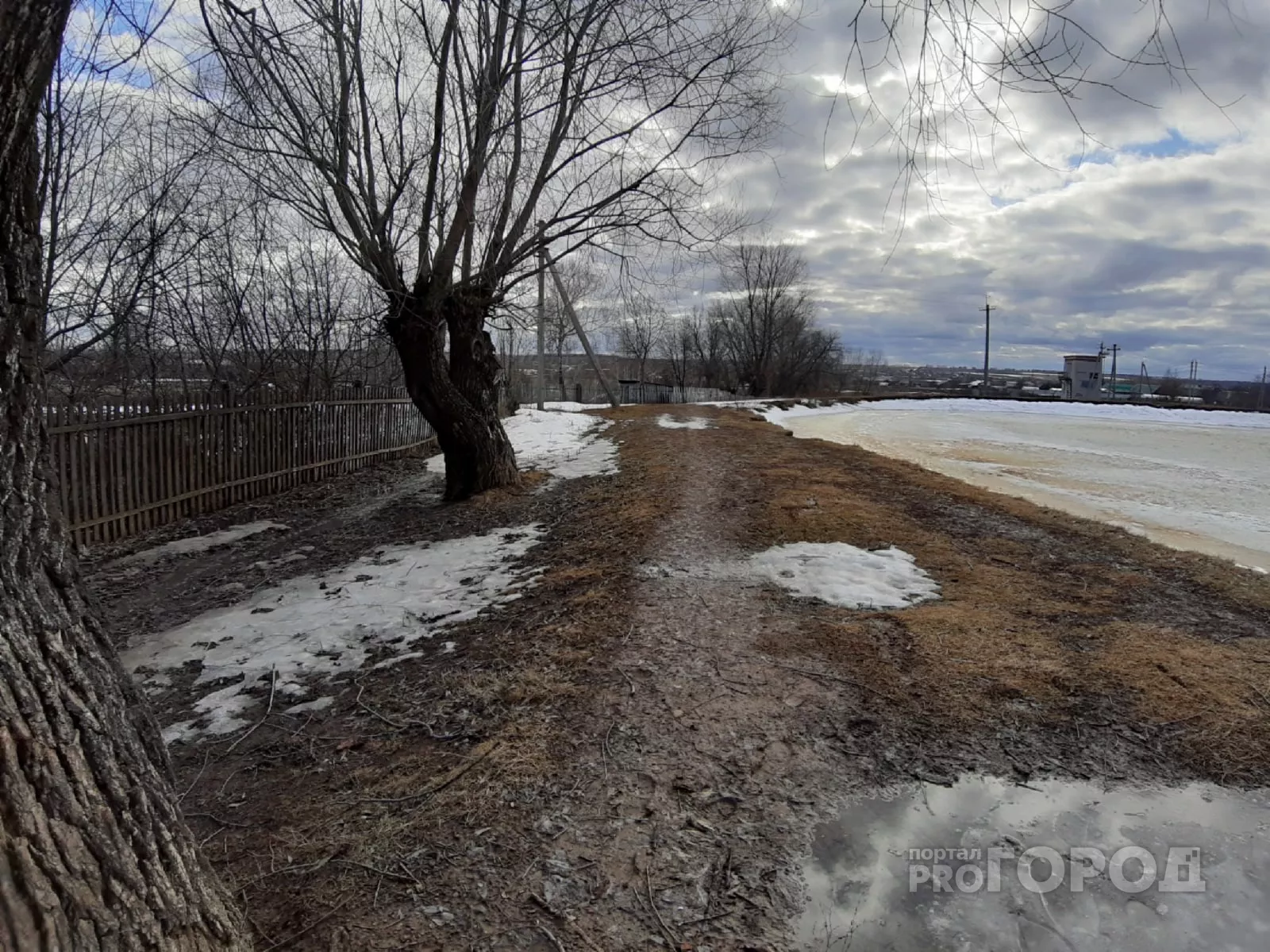 Фото к статье: Ветер в Чувашии не утихнет и в пятницу: "Порывы до 13 метров"