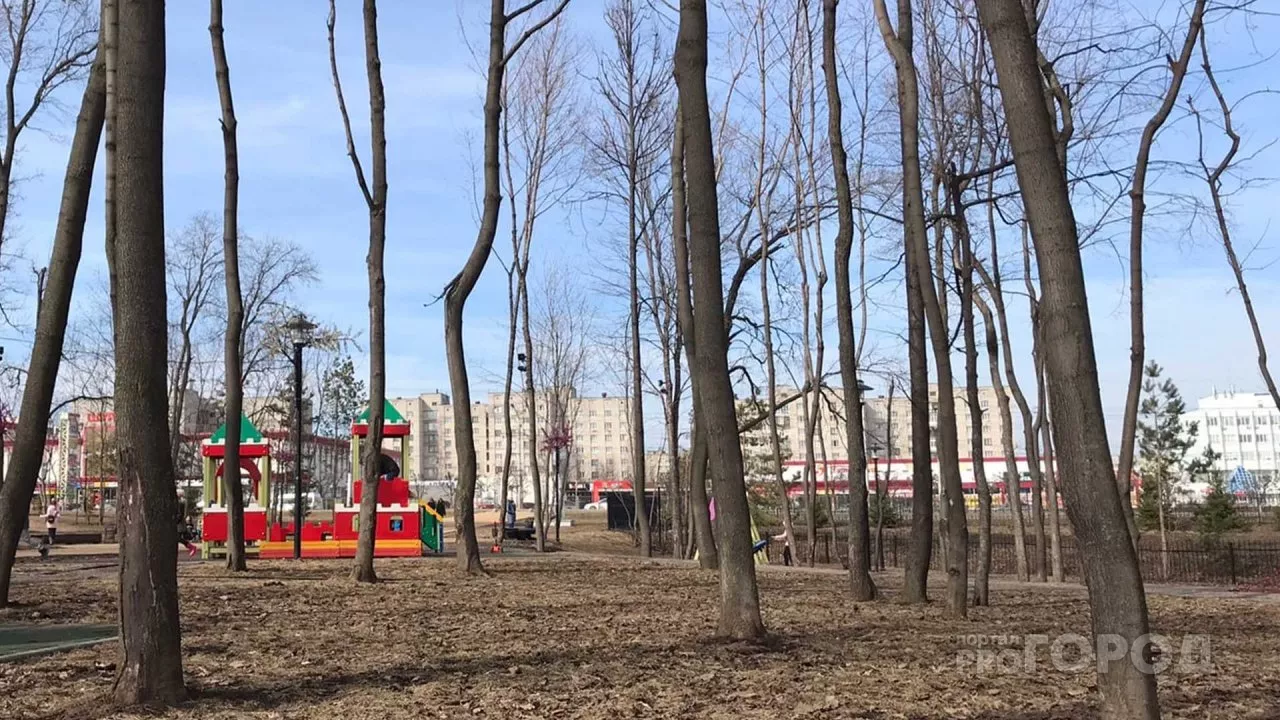 Фото к статье: Воскресная погода порадует южным ветром и повышением температуры