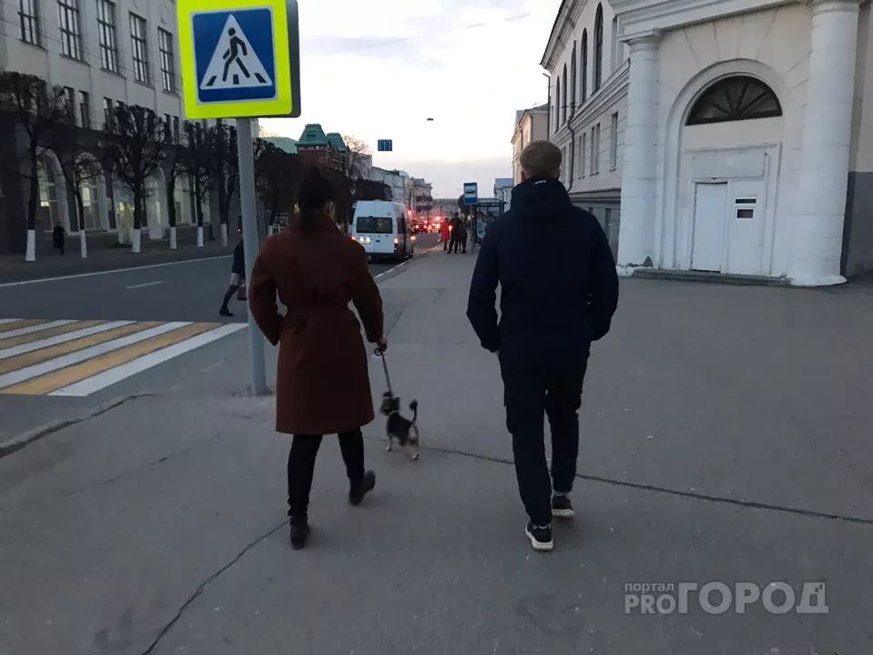 Фото к статье: В чем идти за хлебушком и гулять с собакой: прогноз погоды на неделю