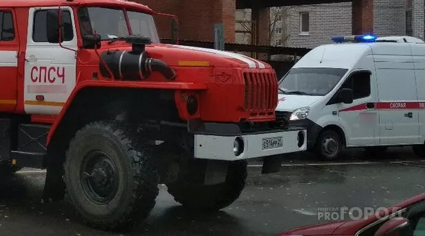 Фото к статье: В чувашской деревне погиб мужчина во время пожара