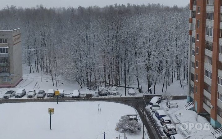 Из-за непогоды в Чебоксарах на машины упало дерево
