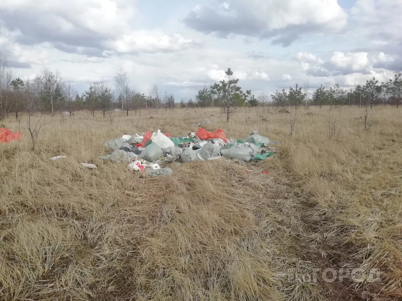Фото к статье: Власти республики рассмотрят ужесточение наказания за оставленный мусор