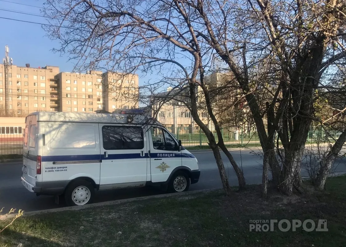 Фото к статье: На женщину напал грабитель во время пробежки в "Ельниковской роще"